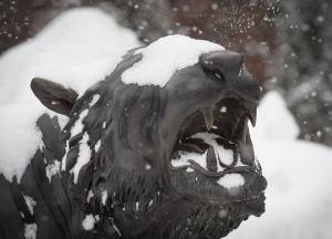 Closeup of the Bengal statue head with snow-covered eyes