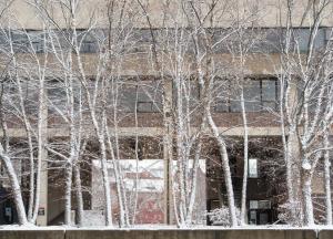 Exterior shot of Cleveland Hall taken through snow-covered trees