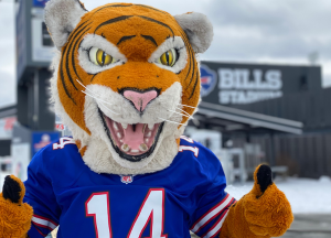 Benji Bengal at Bills Stadium