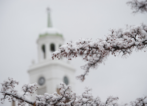 Snow-covered crab apples outside Rockwell Hall